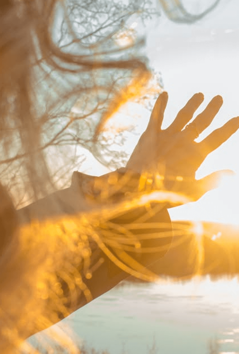 Openness and connection