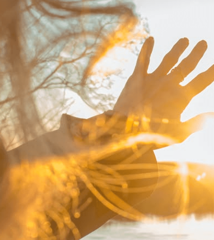 Openness and connection