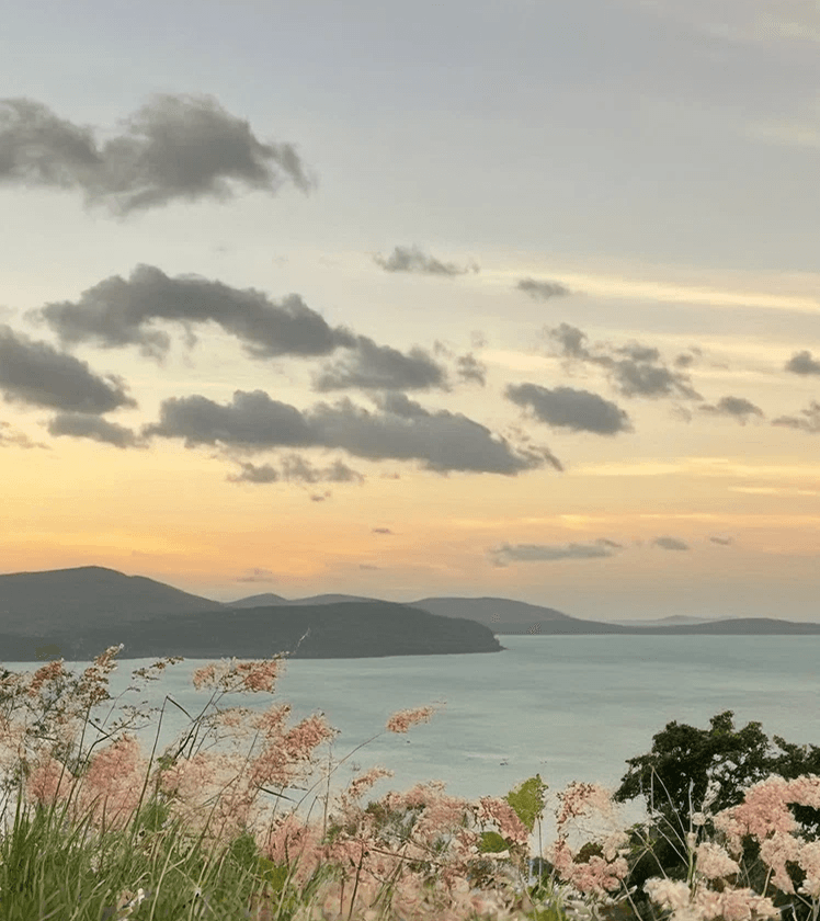 Let the horizon widen